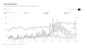 Perpetual Exchanges in Numbers